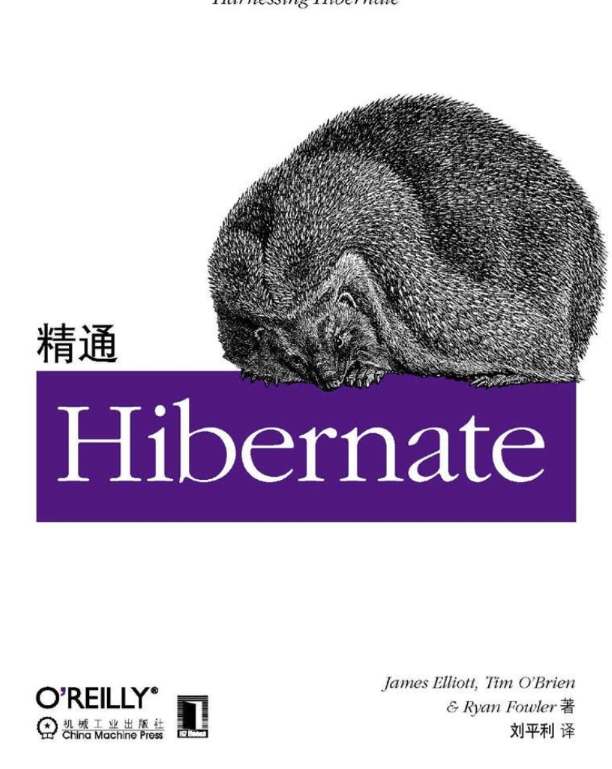 《精通Hibernate》pdf电子书免费下载
